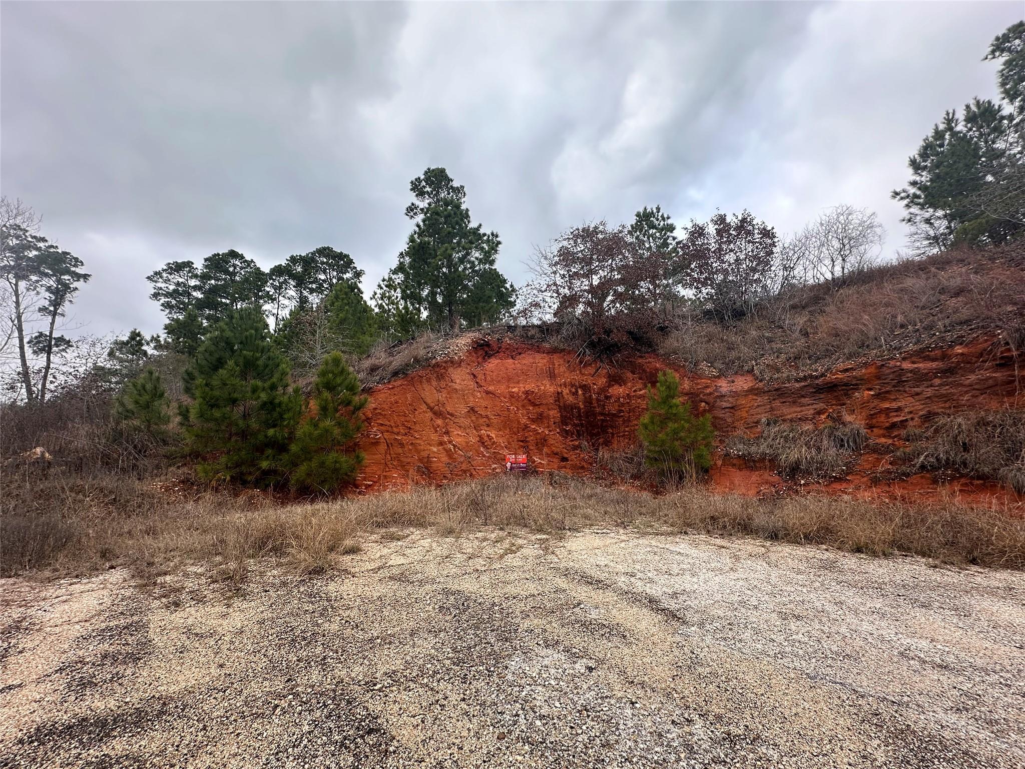 Lot 177 / R32246 Keo Kea Court Bastrop TX 78602