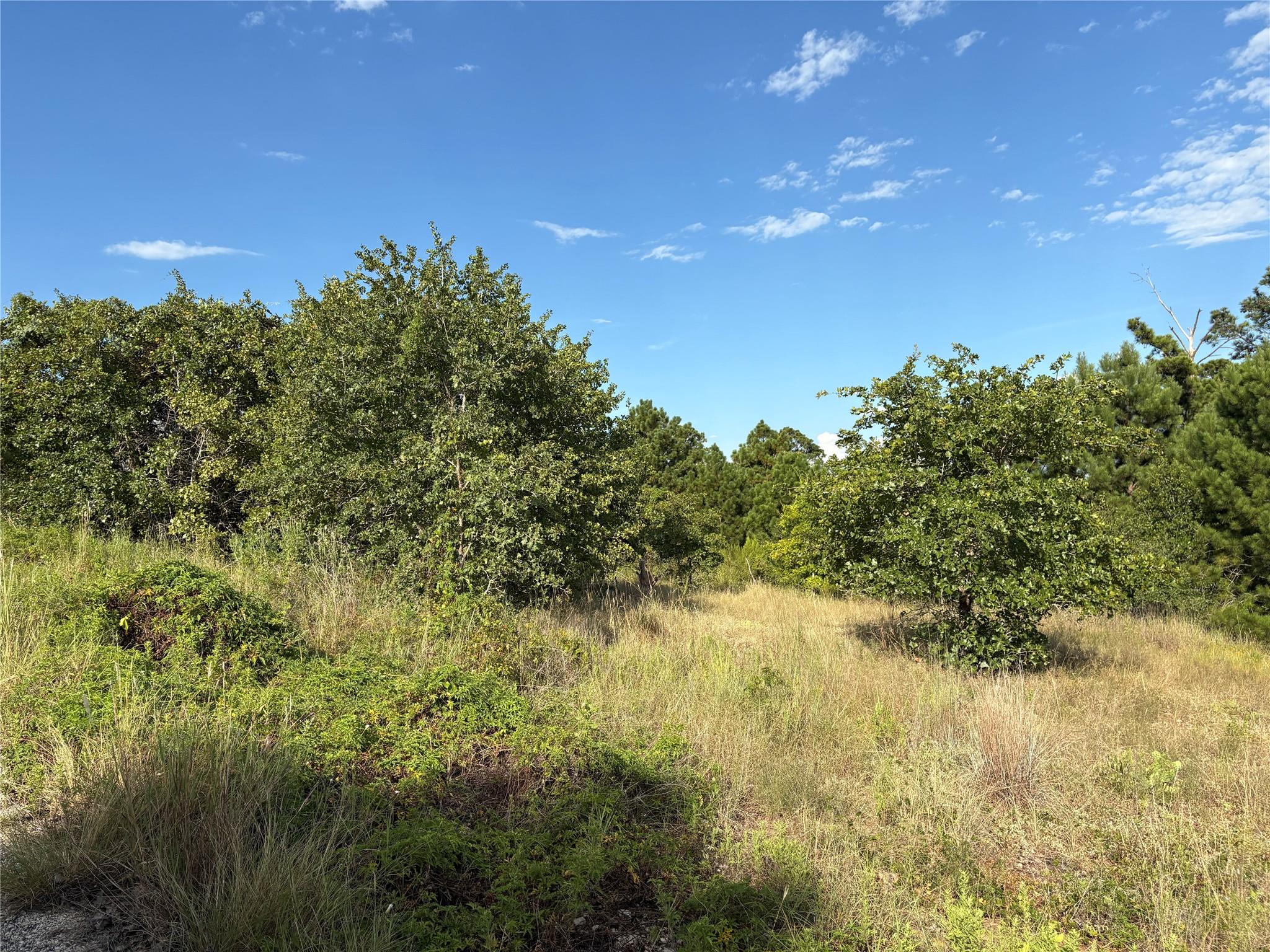 Tbd Kimo Court Bastrop TX 78602