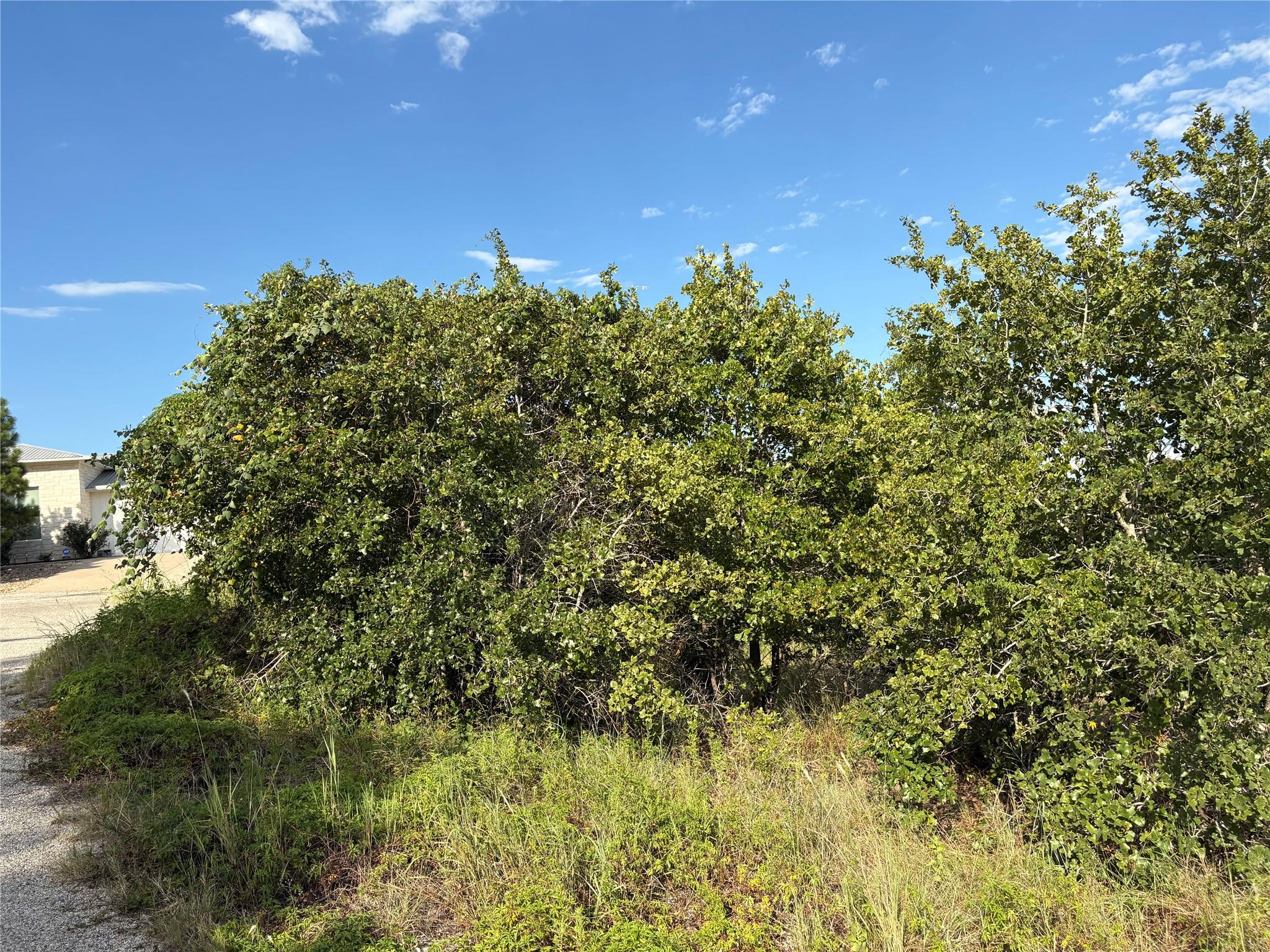 Tbd Kimo Court Bastrop TX 78602