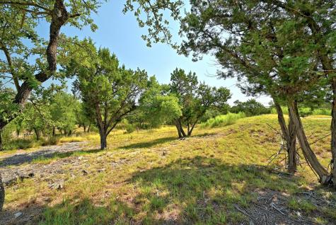 235 Campolina Lane Driftwood TX 78619