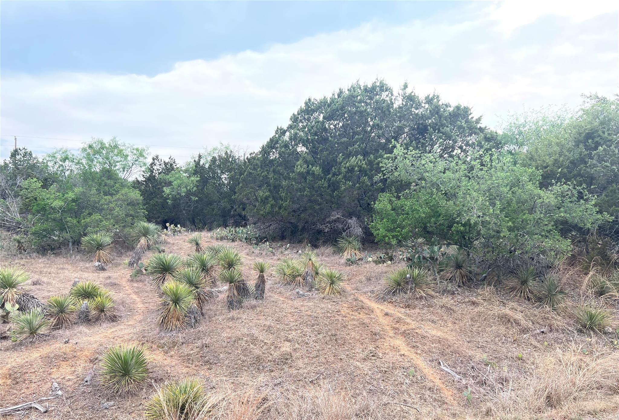 Lot 283 & 284 Briarway Drive Granite Shoals TX 78654