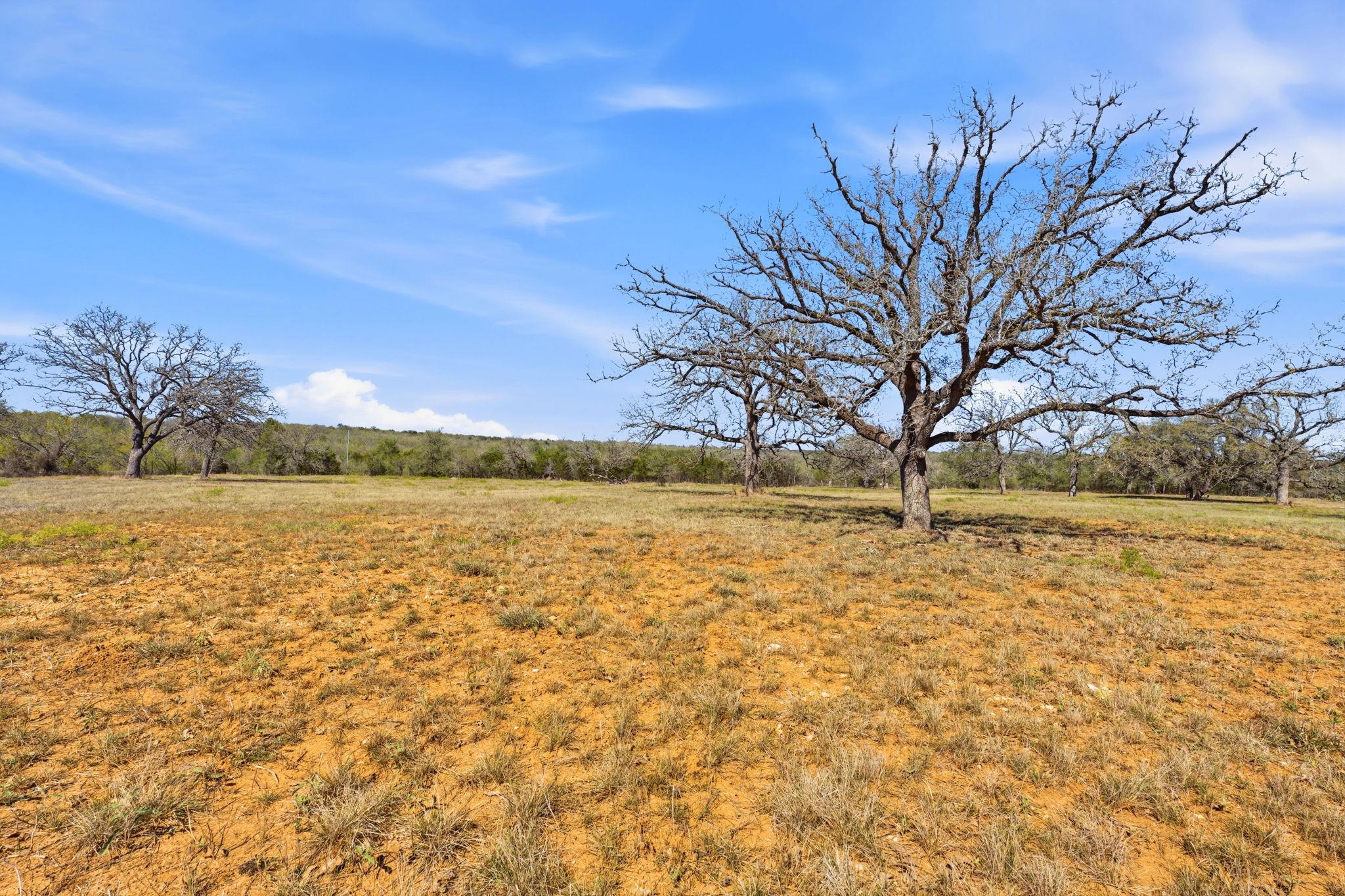 Tbd New Moon Court Red Rock TX 78662