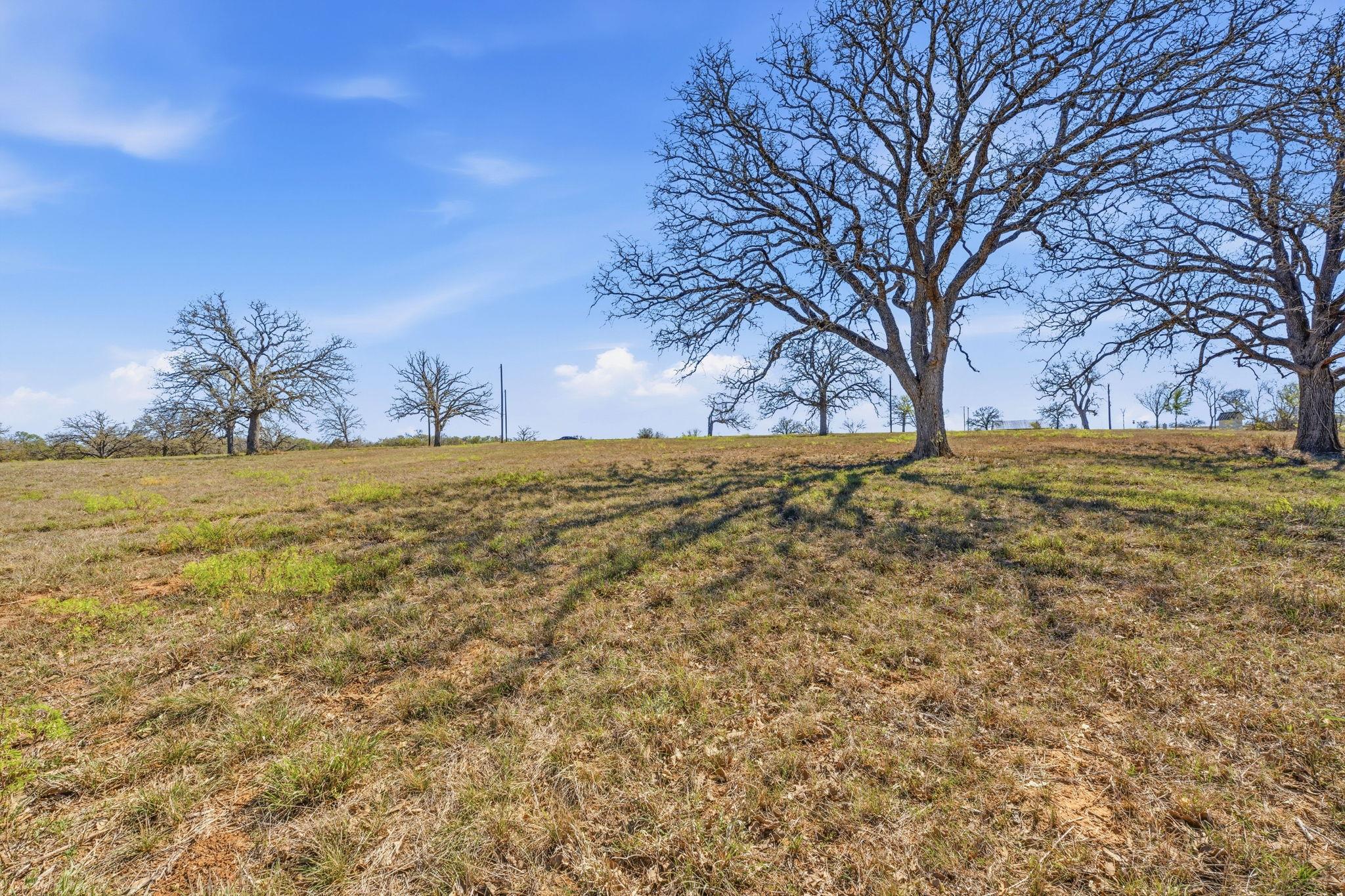 Tbd New Moon Court Red Rock TX 78662