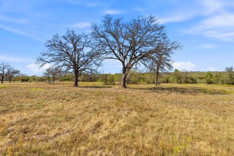 Tbd New Moon Court Red Rock TX 78662