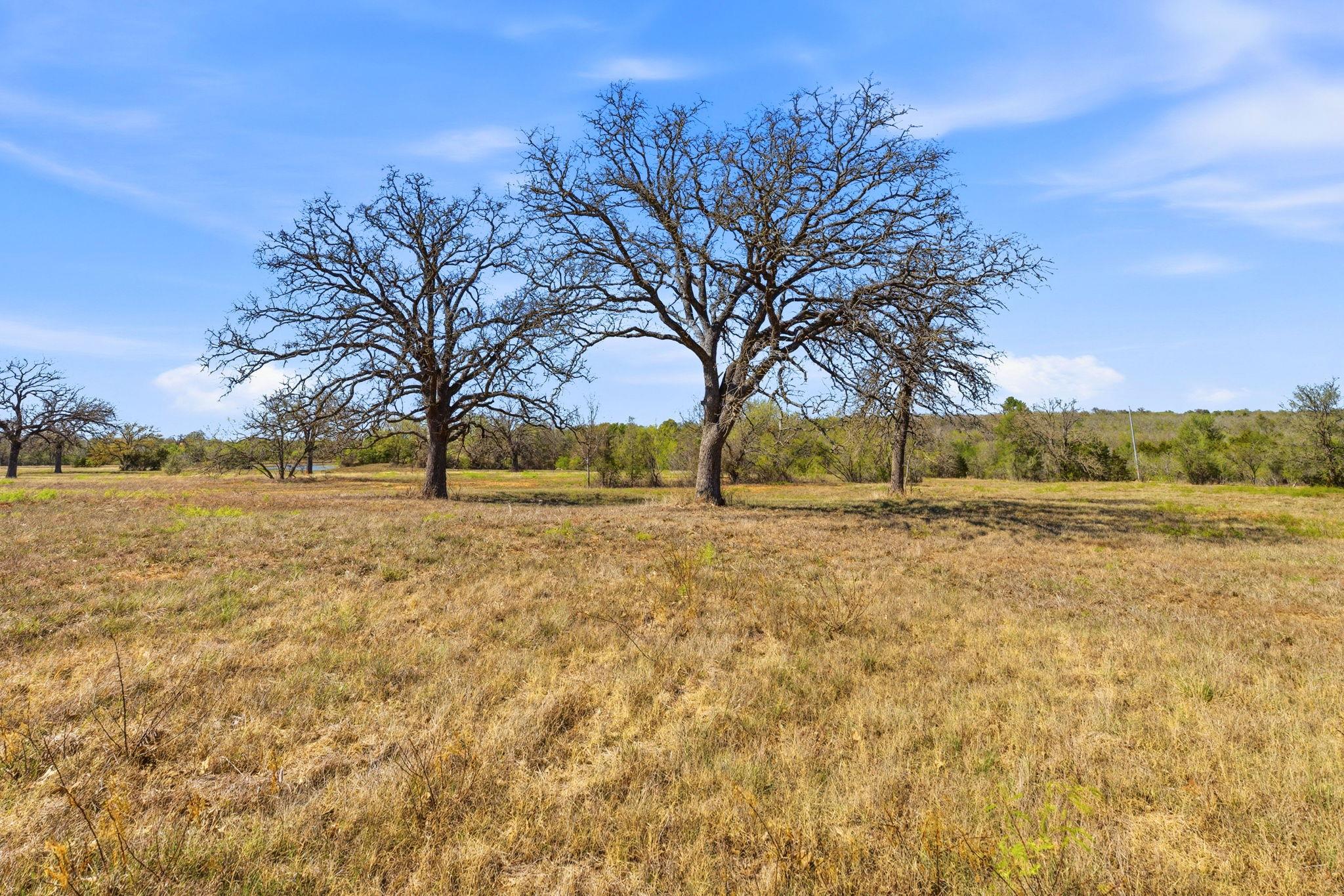 Tbd New Moon Court Red Rock TX 78662