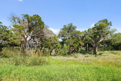 17933 Ranchland Hills Vista Jonestown TX 78645