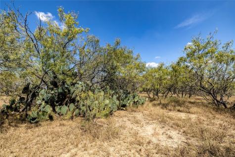 Tbd Lot 2 Track Road Dale TX 78616