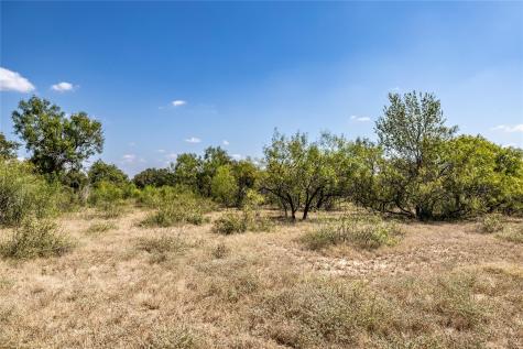 Tbd Lot 2 Track Road Dale TX 78616