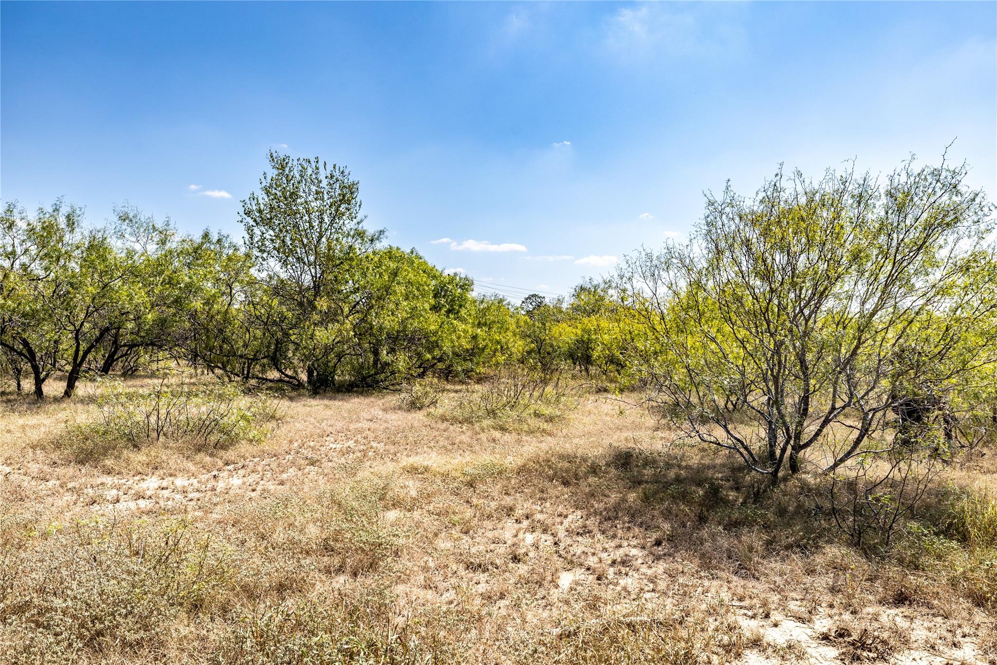 Tbd Lot 2 Track Road Dale TX 78616
