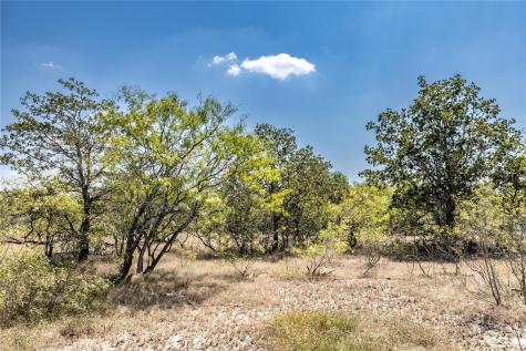 Tbd Lot 2 Track Road Dale TX 78616