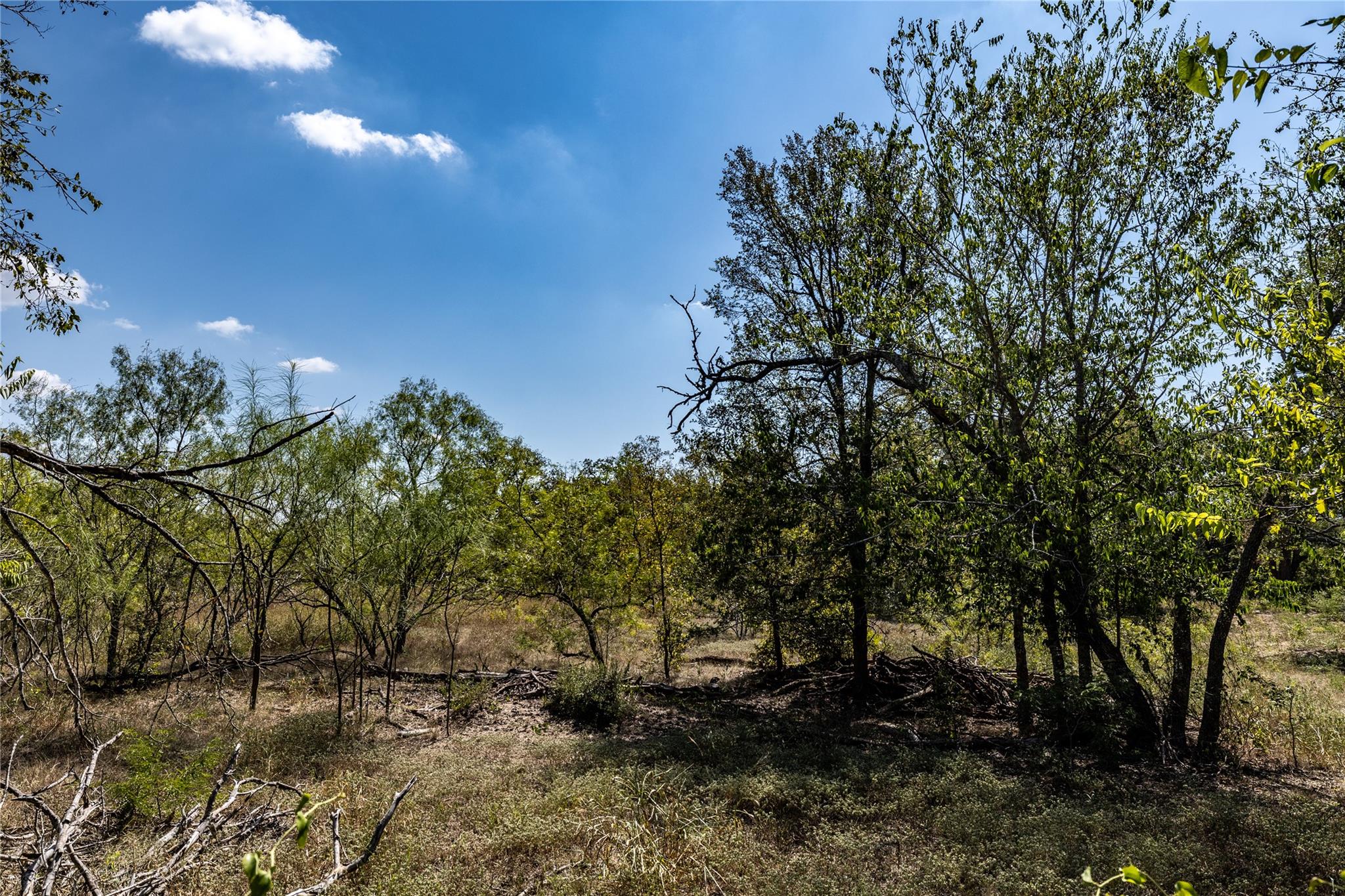 Tbd Lot 2 Track Road Dale TX 78616