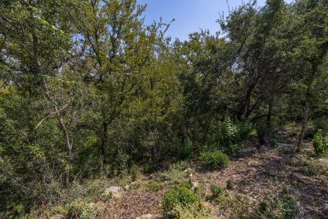 128 Hidden Springs Court Spicewood TX 78669