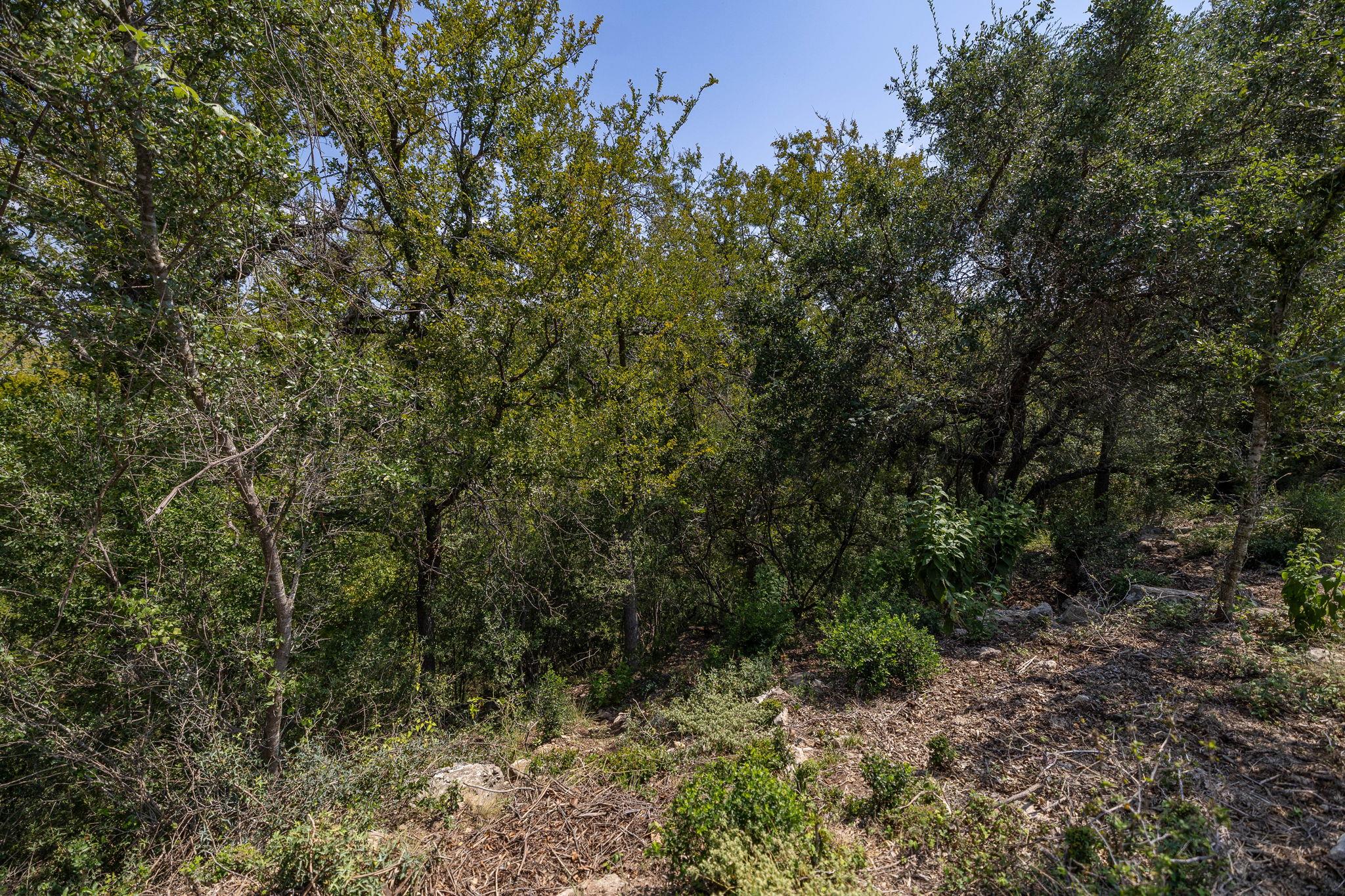 128 Hidden Springs Court Spicewood TX 78669