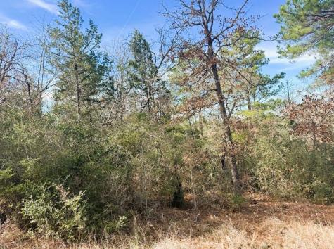 106 Olomana Court Bastrop TX 78602