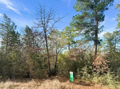 106 Olomana Court Bastrop TX 78602