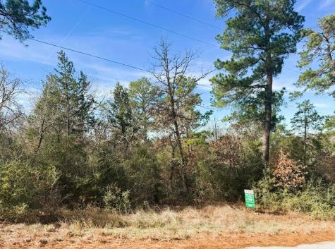 106 Olomana Court Bastrop TX 78602