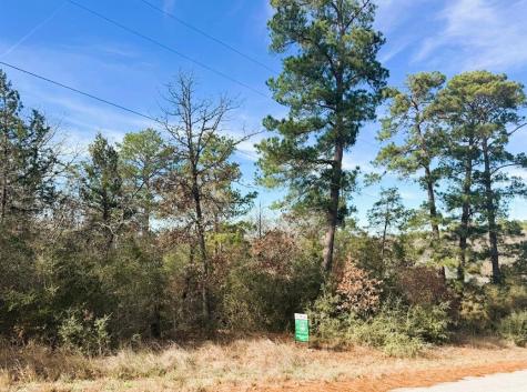 106 Olomana Court Bastrop TX 78602
