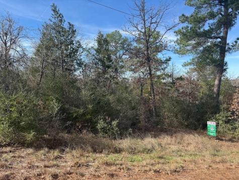 106 Olomana Court Bastrop TX 78602