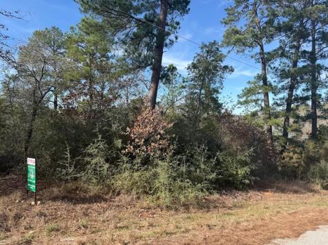 106 Olomana Court Bastrop TX 78602