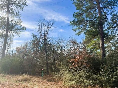 106 Olomana Court Bastrop TX 78602