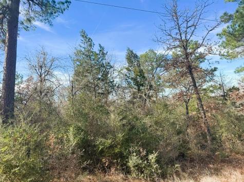 106 Olomana Court Bastrop TX 78602
