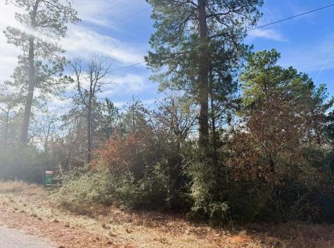 106 Olomana Court Bastrop TX 78602
