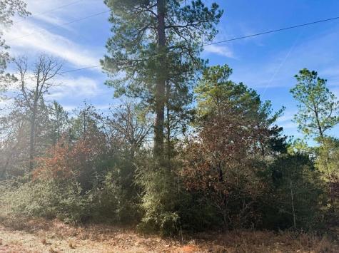 106 Olomana Court Bastrop TX 78602