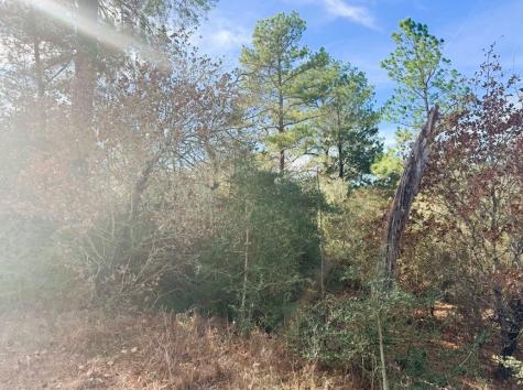 106 Olomana Court Bastrop TX 78602