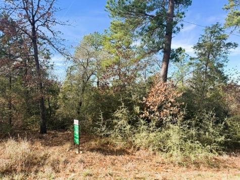 106 Olomana Court Bastrop TX 78602