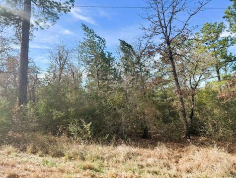 106 Olomana Court Bastrop TX 78602