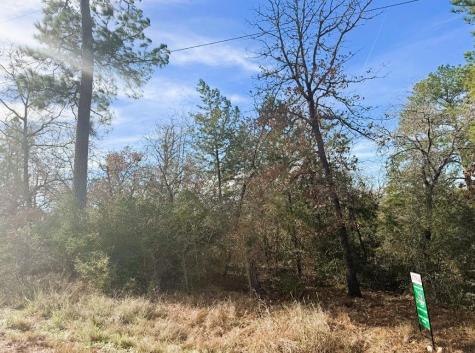 106 Olomana Court Bastrop TX 78602