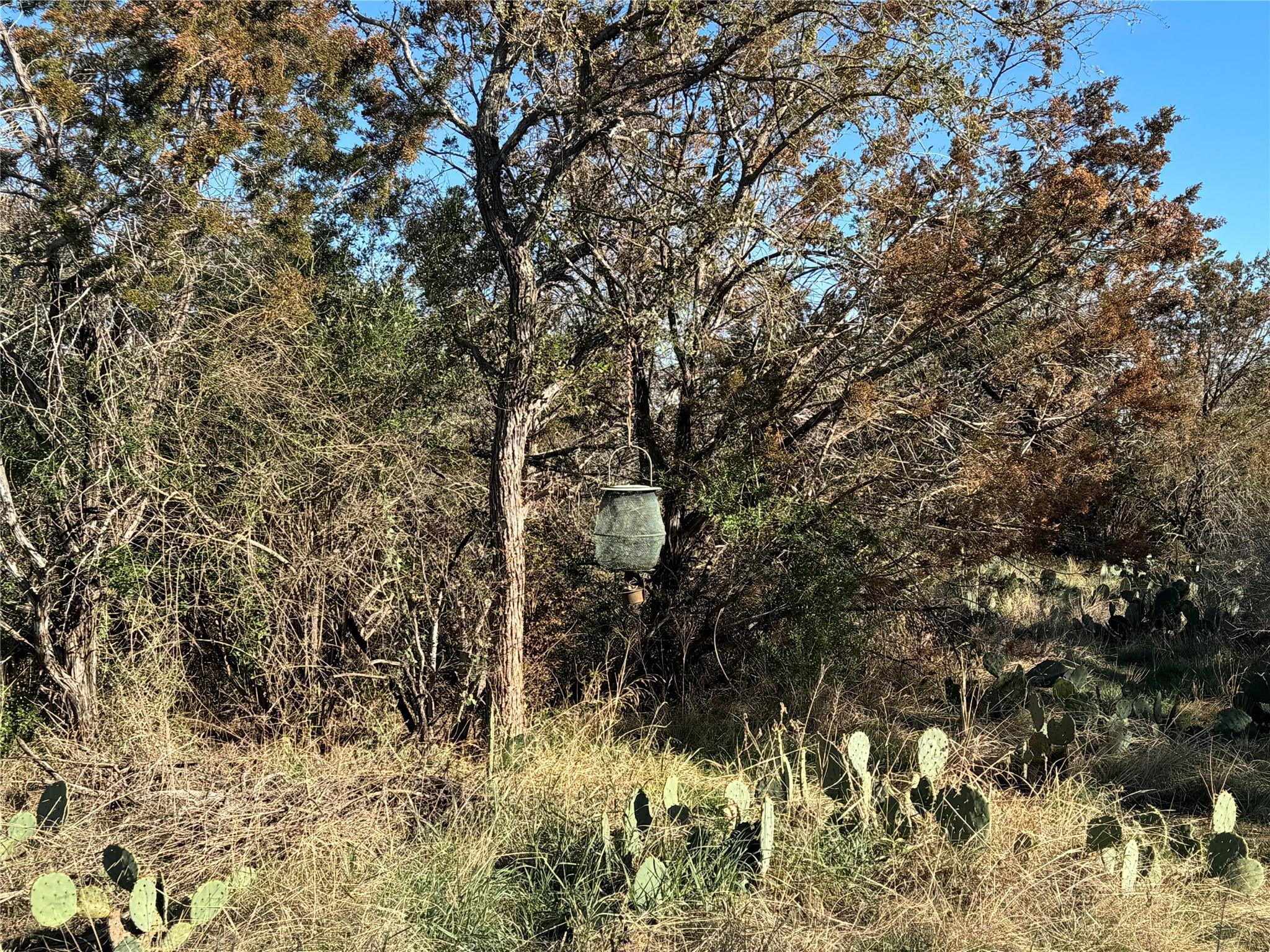 6939 Fm 690 Burnet TX 78611