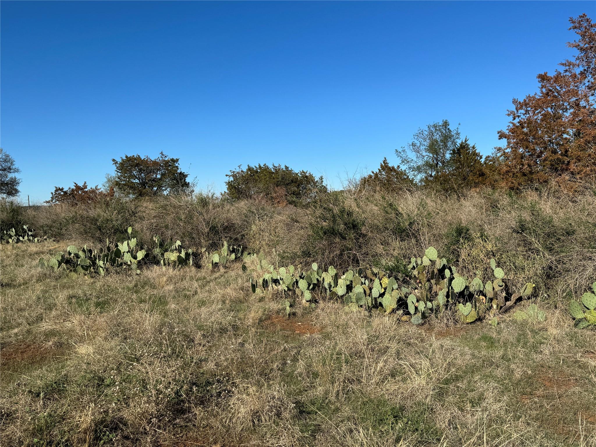 6939 Fm 690 Burnet TX 78611