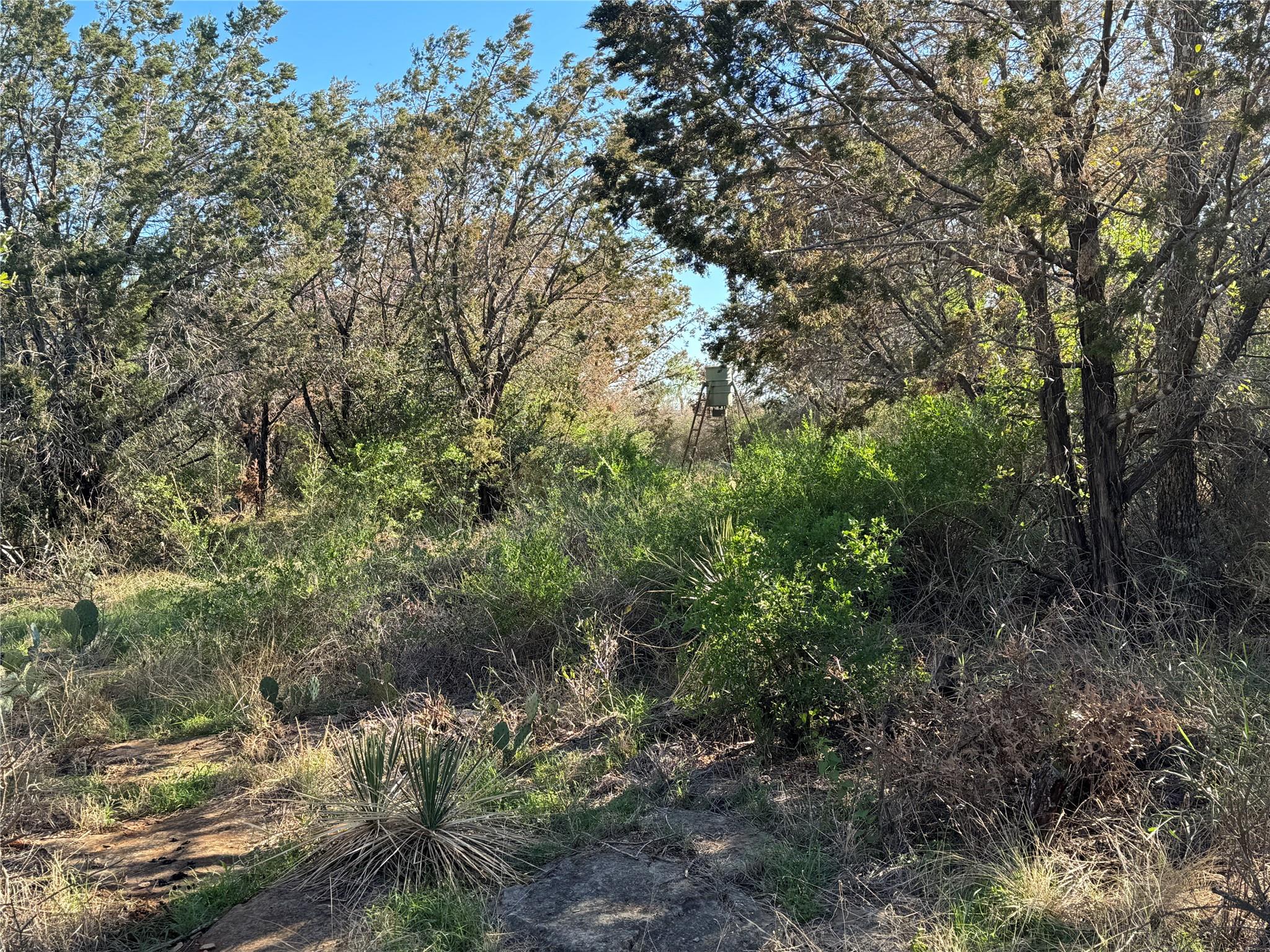 6939 Fm 690 Burnet TX 78611