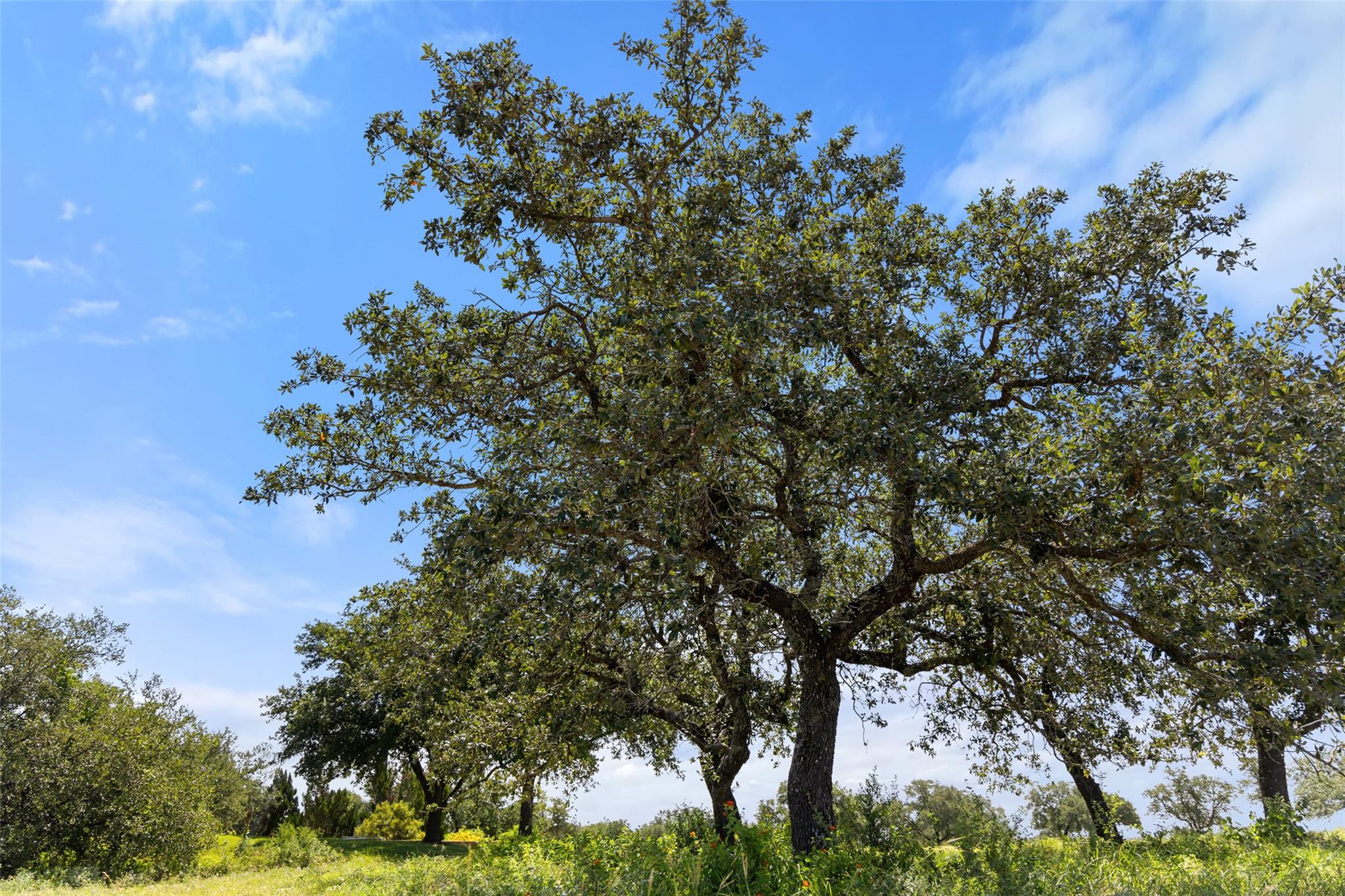 3200 Kahala Sunset Drive Spicewood TX 78669