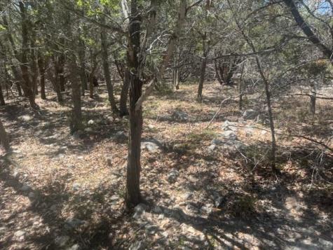 1381 Western Skies Drive Spring Branch TX 78070