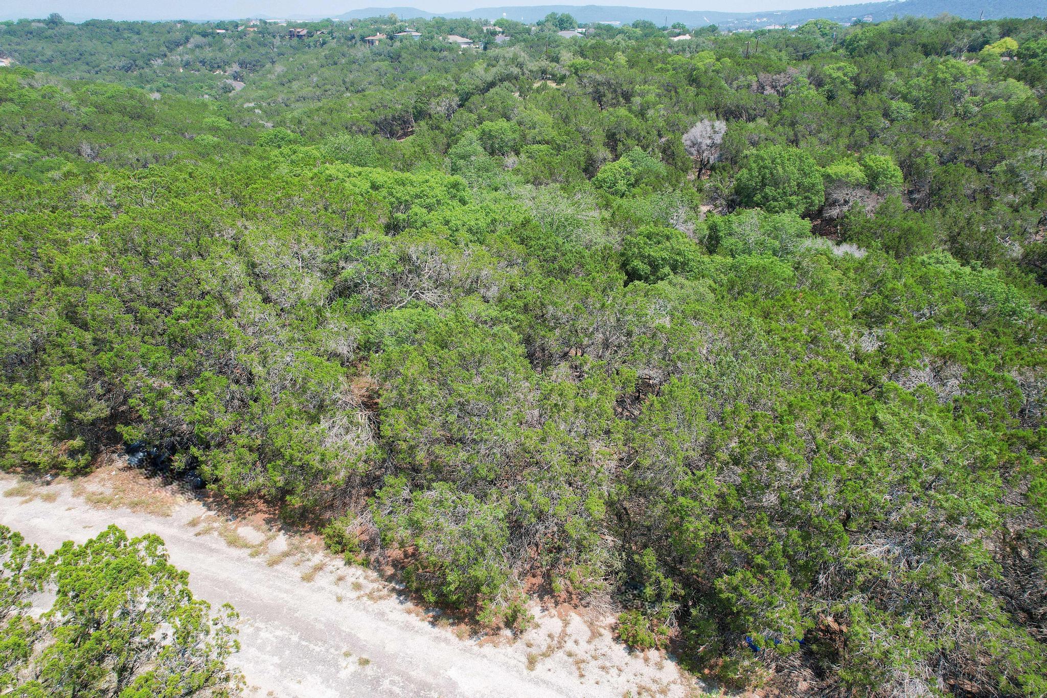 20604 Agarita Drive Leander TX 78645