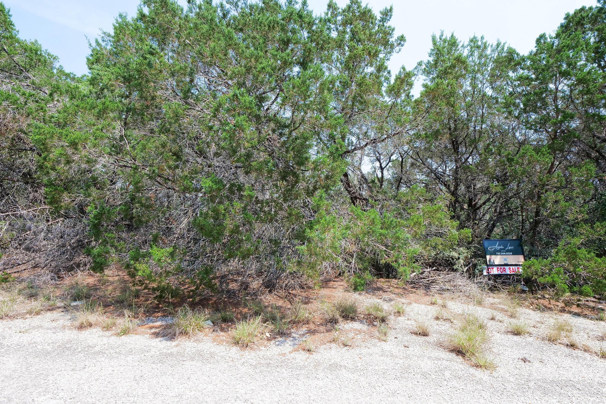 20604 Agarita Drive Leander TX 78645