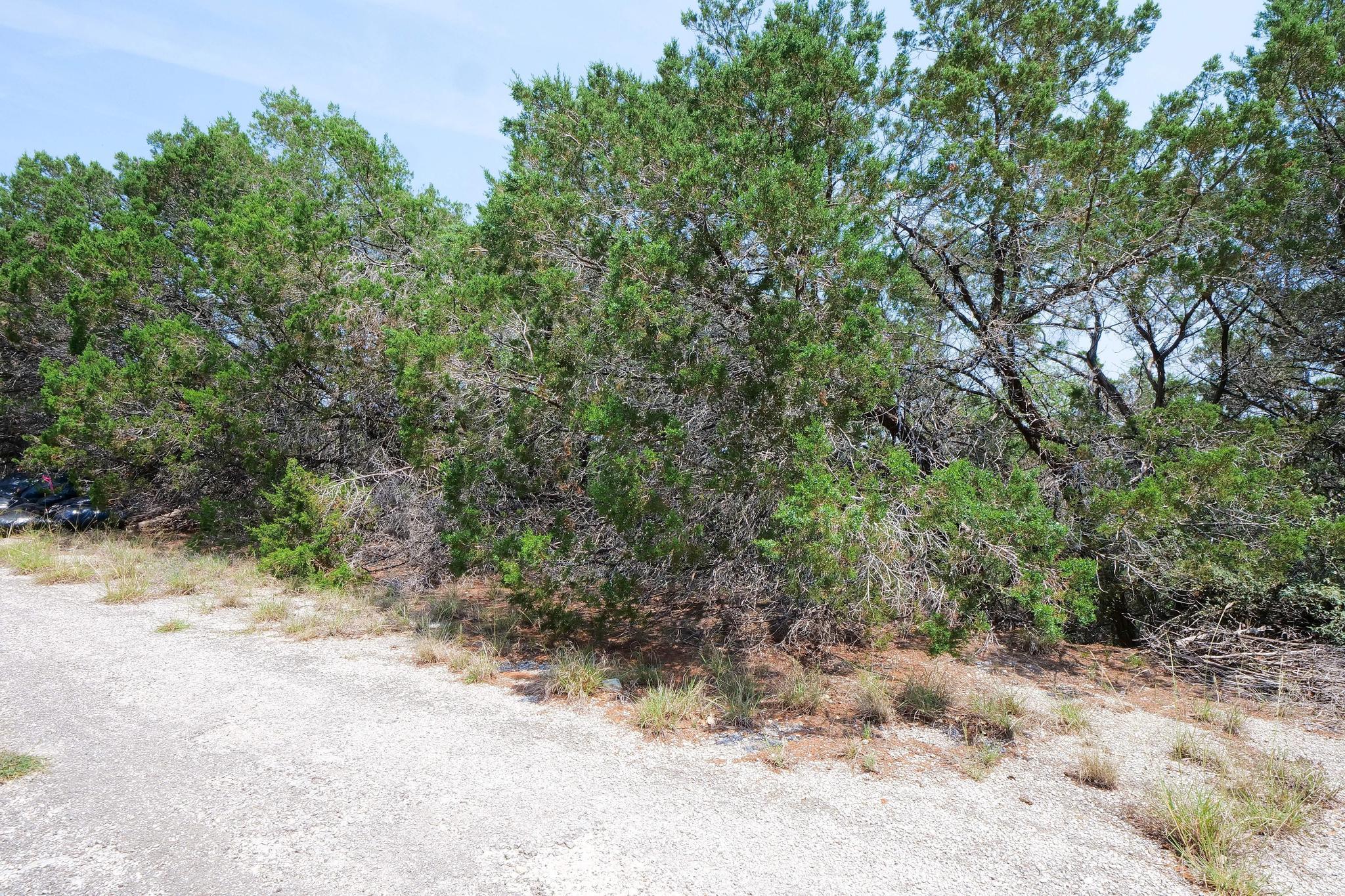 20604 Agarita Drive Leander TX 78645