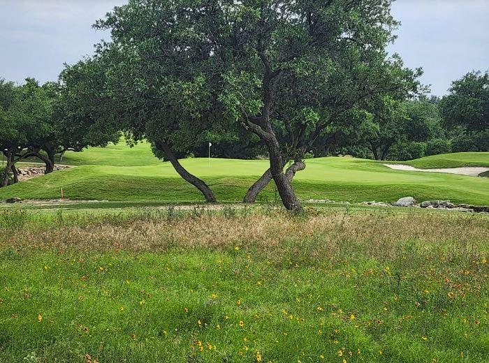 3401 Kahala Sunset Drive Spicewood TX 78669