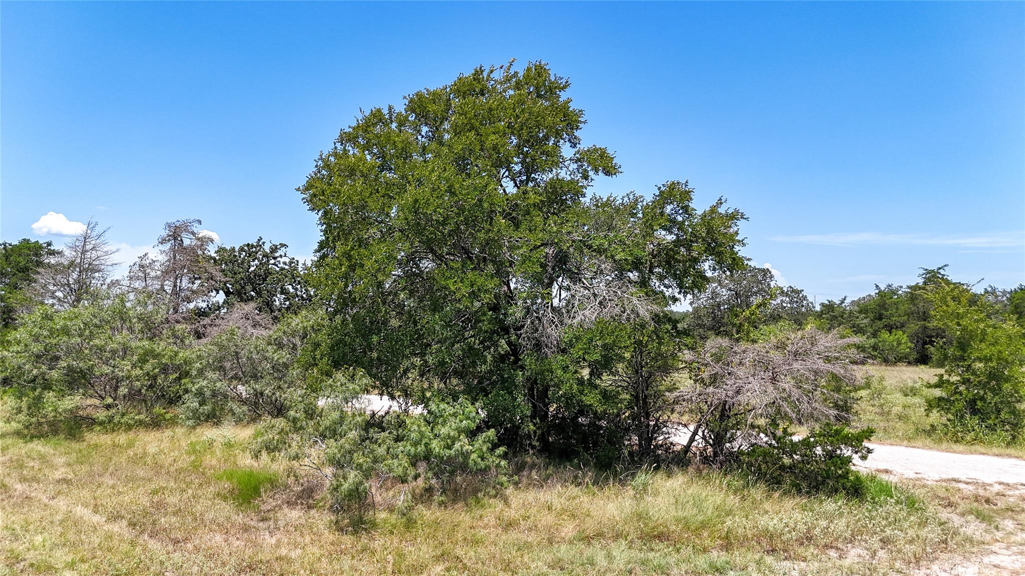 Lot 5 Zack Lane Smithville TX 78957