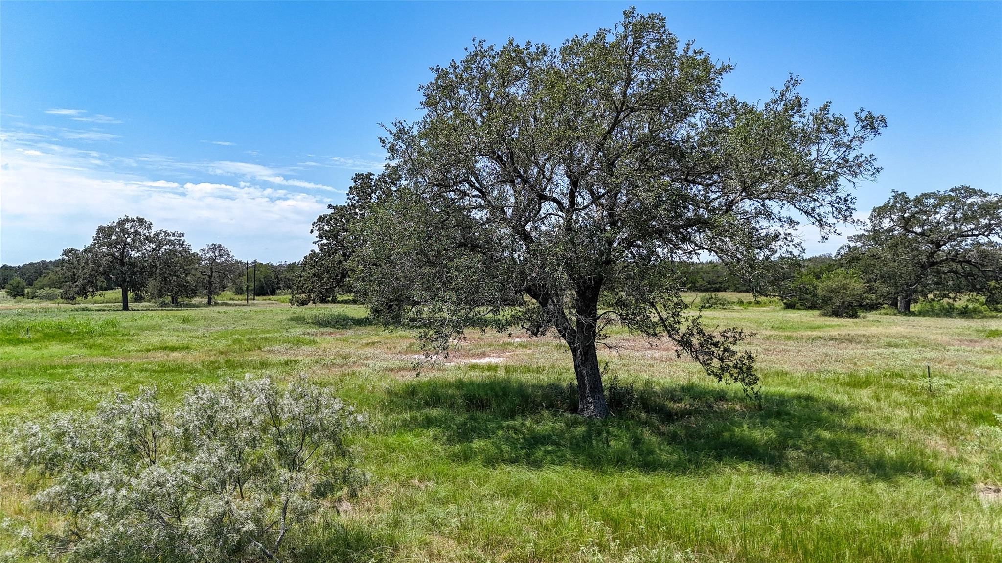 Lot 5 Zack Lane Smithville TX 78957