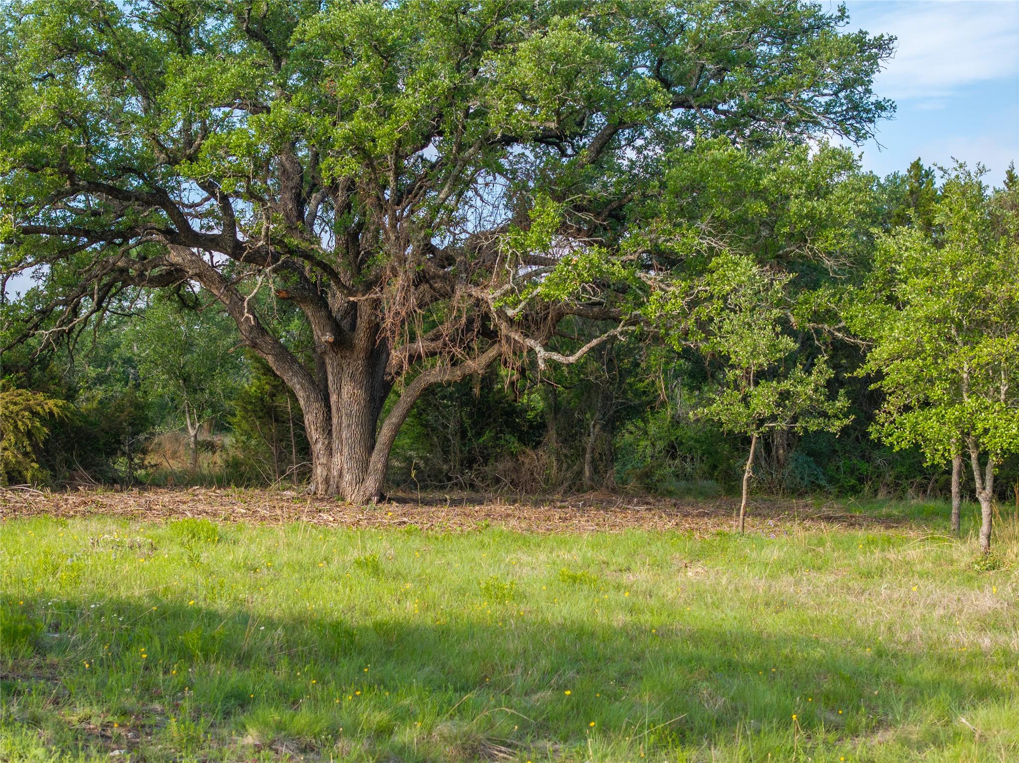 000 Cr103 Burnet TX 76550