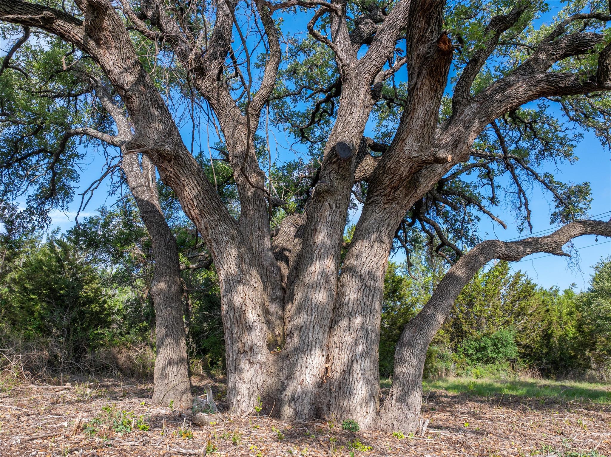 000 Cr103 Burnet TX 76550