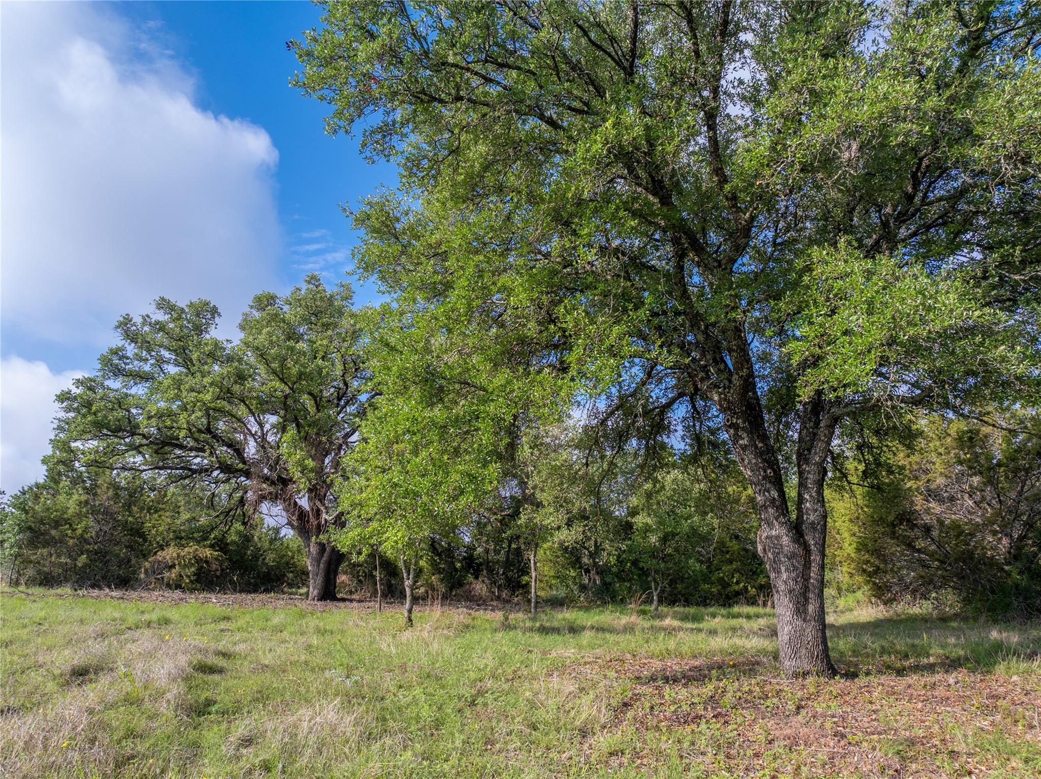 000 Cr103 Burnet TX 76550