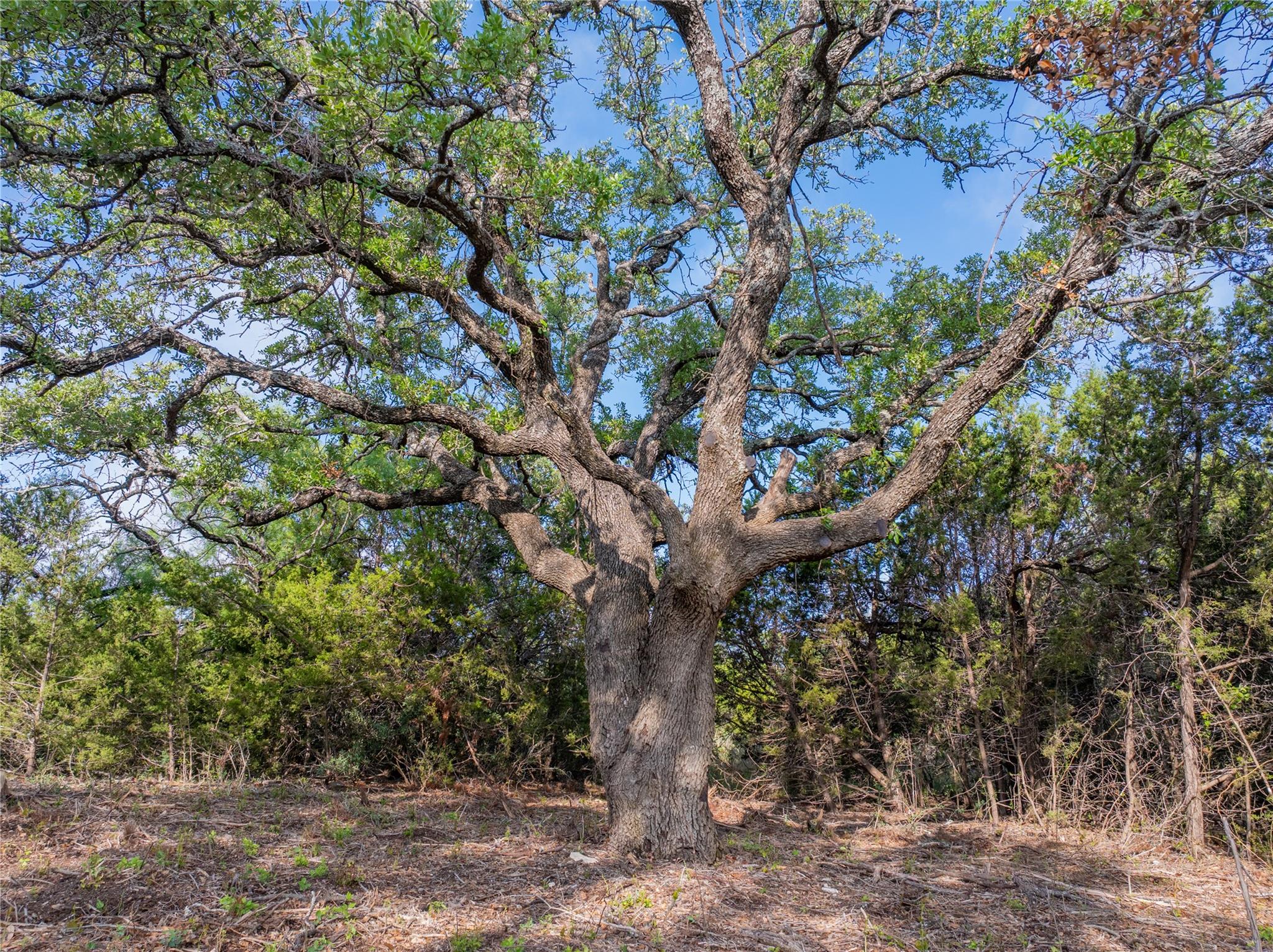 000 Cr103 Burnet TX 76550