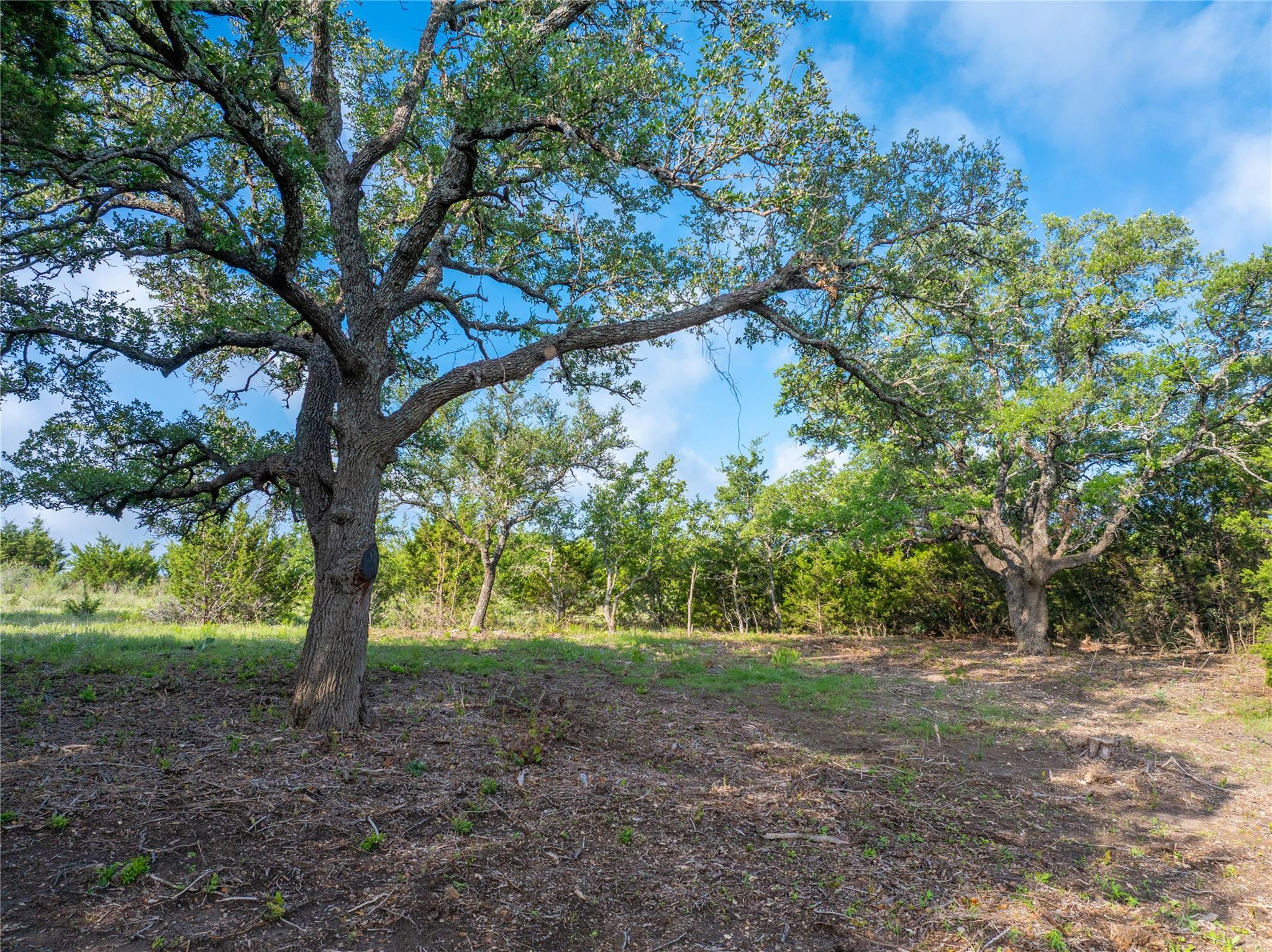 000 Cr103 Burnet TX 76550
