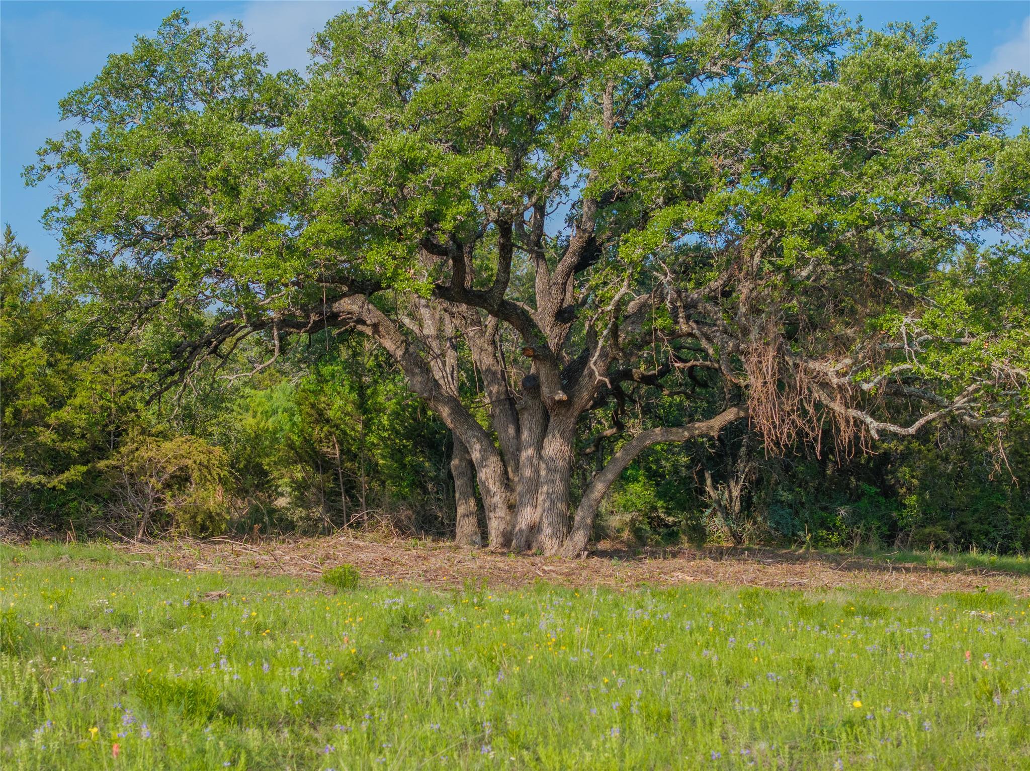 000 Cr103 Burnet TX 76550