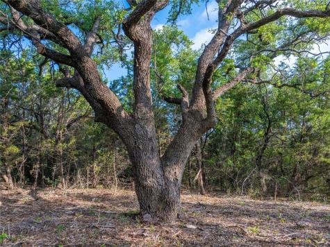 000 Cr103 Burnet TX 76550