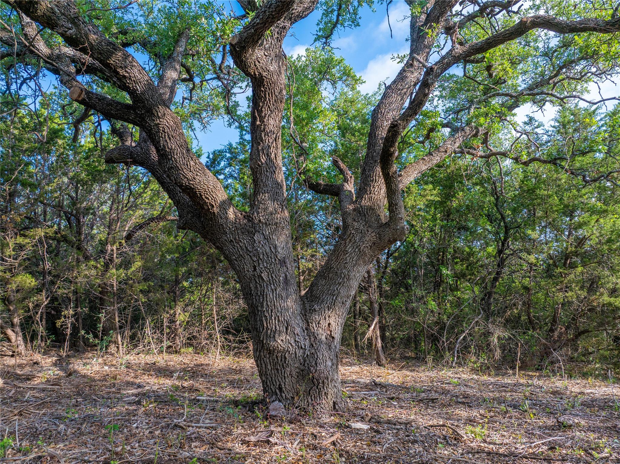 000 Cr103 Burnet TX 76550